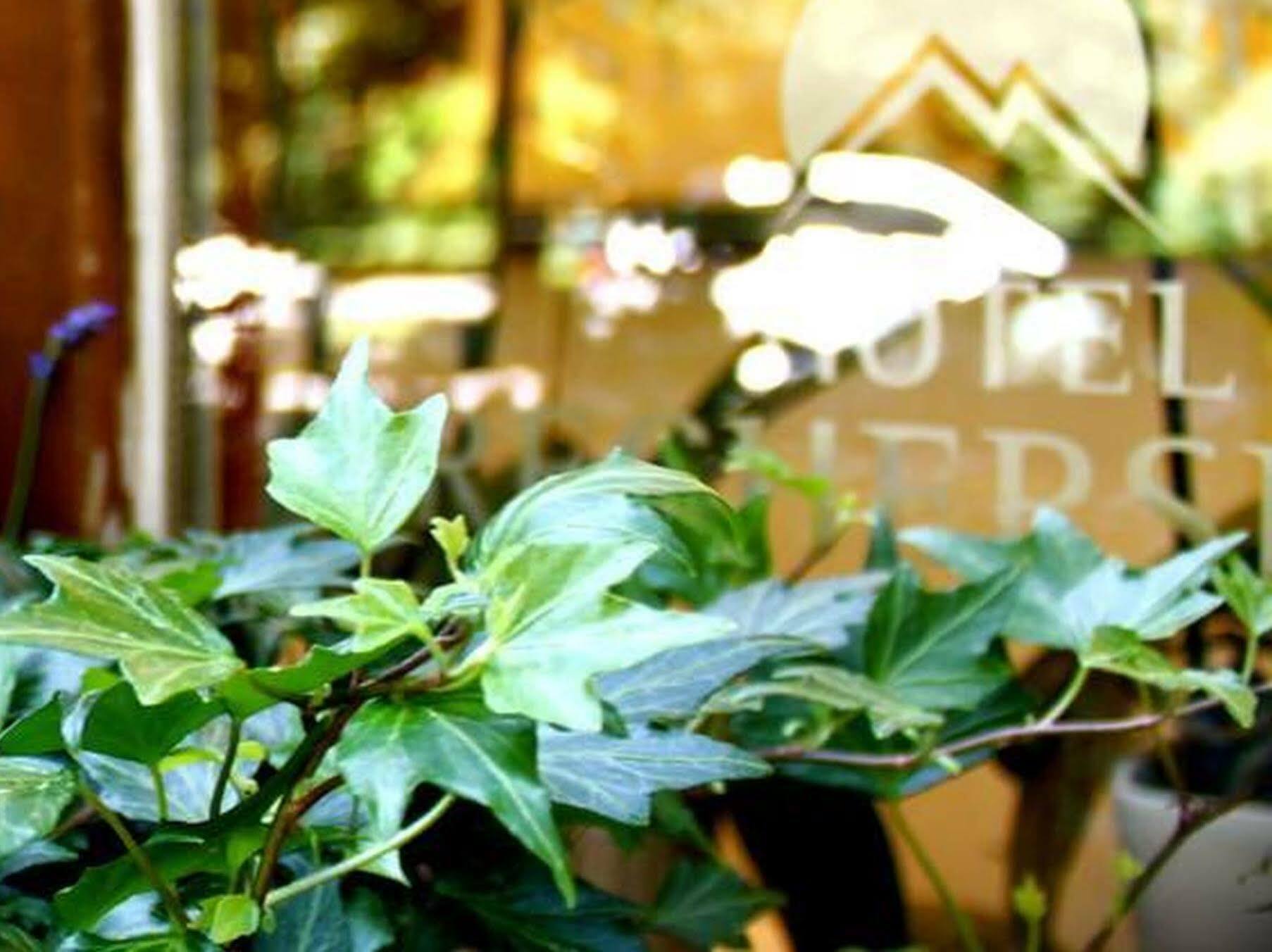 Hotel Brecherspitze München Ngoại thất bức ảnh